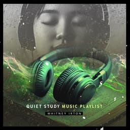 Quiet Study Music Playlist - Whitney Irton