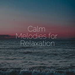 Calm Melodies for Relaxation - Sleep Waves