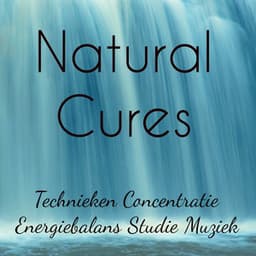 Natural Cures - Energiebalans Studie Technieken Concentratie Muziek voor Rustgevende Slaap Hersenstimulatie en Yoga Meditatie - Nature Sounds Relaxation