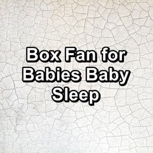 Box Fan for Babies Baby Sleep - White Noise Therapy