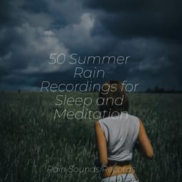 50 Summer Rain Recordings for Sleep and Meditation - Calming Waves