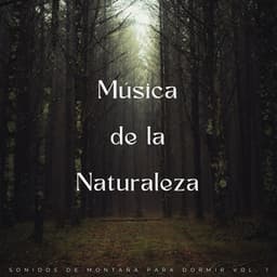 Música De La Naturaleza: Sonidos De Montaña Para Dormir Vol. 1 - Música de la naturaleza Canciones de la naturaleza