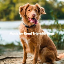Music for Road Trip with Dogs - Calming Jazz For Dogs