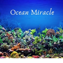 Ocean Miracle - Selective Sounds PTA