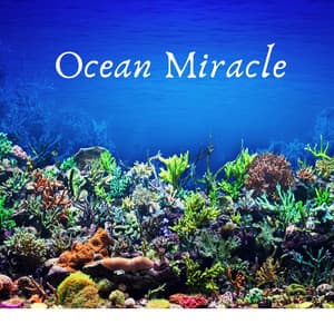 Ocean Miracle - Selective Sounds PTA