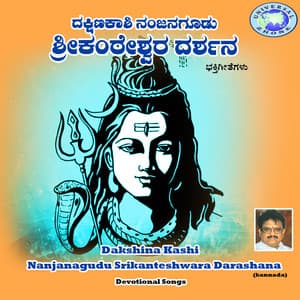 Dakshina Kashi Nanjanagudu Srikanteshwara Darashana - Alankar