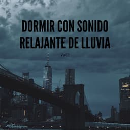 Dormir Con Sonido Relajante De Lluvia, Vol. 2 - Estado de ánimo de lluvia