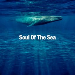 Soul Of The Sea - Rhodium Music