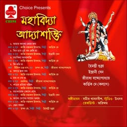 Mahabidya Adyasakti - Kartik Dey
