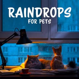 Raindrops for Pets: Soothing Music with Rain Sounds, Relaxation Time for You and Your Pet, Anxiety and Insomnia Relief - Calm Pets Music Academy
