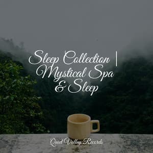 Sleep Collection | Mystical Spa & Sleep - Brown Noise