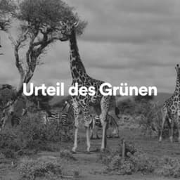 Urteil des Grünen - Naturgeräusche
