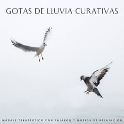Gotas De Lluvia Curativas: Masaje Terapéutico Con Pájaros Y Música De Relajación - Lluvia Mozart