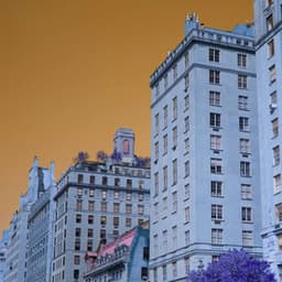 Background Music for Sky Discovery - Harlem Jazz Guitar Quartet