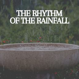 The Rhythm of the Rainfall - Pro Sound Effects Library