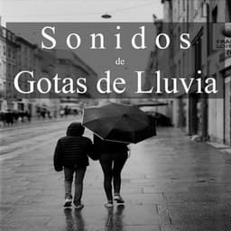Sonidos de Gotas de Lluvia - Sonidos Relajantes de la Naturaleza by Beneluxa