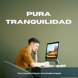 Pura Tranquilidad: Sonidos Para Estudios Grupales - Lista de Reproducción de Estudio