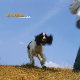 Emmerdale - The Cardigans