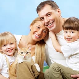 Melodic Bonding: Lofi Harmony for a Happy Pet - Lo-fi Hip Hop Beats