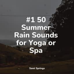 50 Relaxing Rain Sounds for Sleep - Regengeräusche