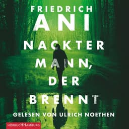 Nackter Mann, der brennt - Friedrich Ani