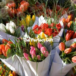 The Perfect Gift - Mattina Jazz