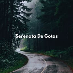 Serenata De Gotas - Sonidos de lluvia y sonidos de la naturaleza
