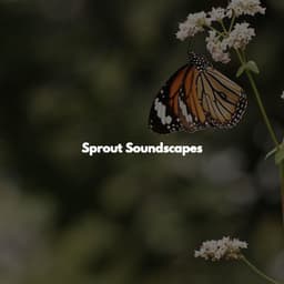 Sprout Soundscapes - Chilled Easy Listening Jazz