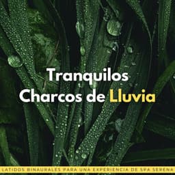 Tranquilos Charcos De Lluvia: Latidos Binaurales Para Una Experiencia De Spa Serena - La lluvia es mi vida