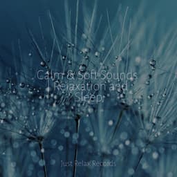 Calm & Soft Sounds | Relaxation and Sleep - Música Zen Relaxante