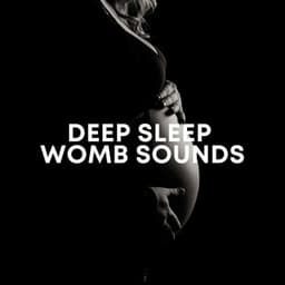 Deep Sleep Womb Sounds - Womb Sounds For Babies