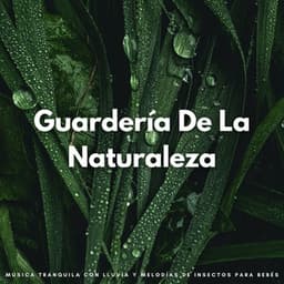 Guardería De La Naturaleza: Música Tranquila Con Lluvia Y Melodías De Insectos Para Bebés - Siente El Clima