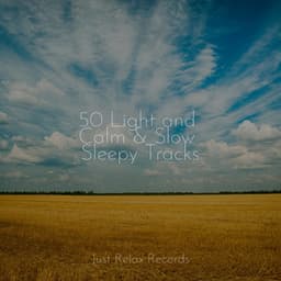 50 Light and Calm & Slow Sleepy Tracks - Exam Study Classical Music