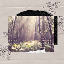 Atmospheric - Relaxing Rituals - Coffee House Jazz Radio