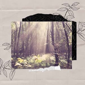 Atmospheric - Relaxing Rituals - Coffee House Jazz Radio