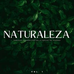 Naturaleza: Sonidos De Insectos En La Noche De Verano Vol. 1 - La Naturaleza Del Sueño