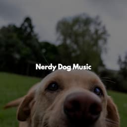 Nerdy Dog Music - Sunday Morning Jazz Lounge