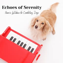 Echoes of Serenity: Piano's Lullabies for Comforting Dogs - Piano dust Covers