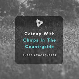 Catnap With Chirps In The Countryside - Sleep Atmospheres