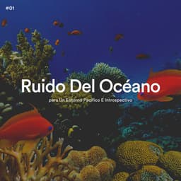 #01 Ruido Del Océano para Un Entorno Pacífico E Introspectivo - Olas del Mar