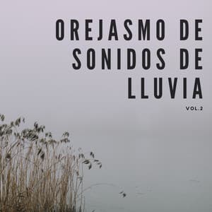 Orejasmo De Sonidos De Lluvia Vol. 2 - La lluvia es mi vida