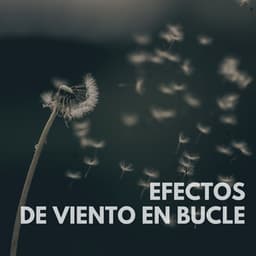 Efectos de viento en bucle - Sonidos De Agua