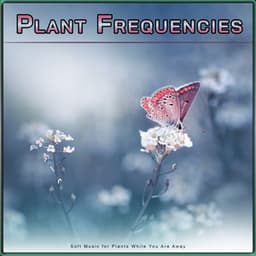 Plant Frequencies: Soft Music for Plants While You Are Away - Music for Plants