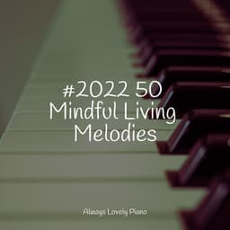 Songs for a Calm Chillout - Piano Masters
