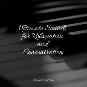 Reiki Piano Melodies to Float Away to an Island of Relaxation - Classical Piano Music Masters