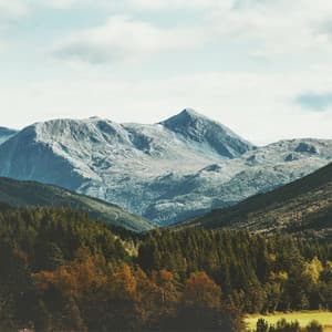 Music For Sleeping - Yoga Flow