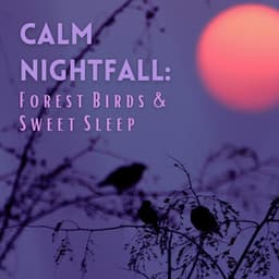 Calm Nightfall: Forest Birds and Sweet Sleep - Outside HD Samples