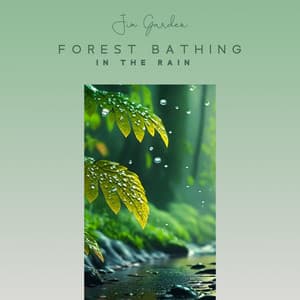 Forest Bathing in The Rain: Tranquil Meditation for Pure Calm, Enter The Atmosphere of Spiritual Harmony, Relax, Stress Relief, Sleep - Jim Garden