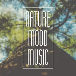 Nature Mood Music – Serenity Mother Nature, Calm Music for Relaxation, Deep Sounds for Meditation, Healing Forest Sounds - Rainforest