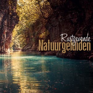 Rustgevende Natuurgeluiden - Michael Garti